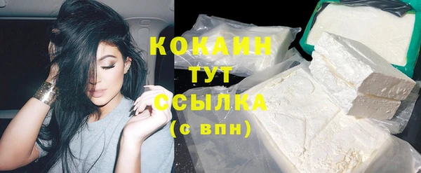apvp Михайлов